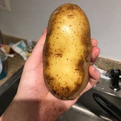 reviewer holding shiny clean potato