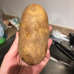 reviewer holding unwashed potato