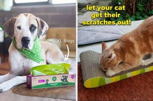 poop bags on the left and a cat scratcher board on the right