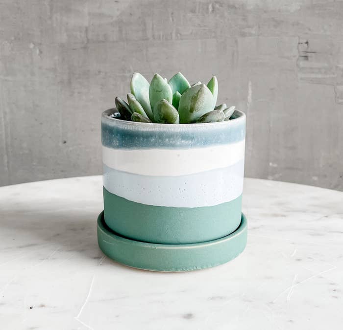 Product image of small blue, white, and green pot with plant inside