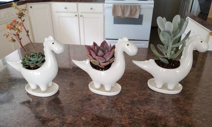 Reviewer image of three white dinosaur-shaped planters holding succulents