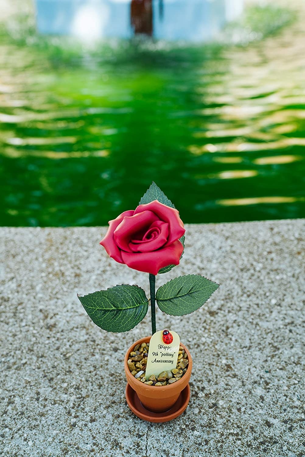 Image of the 9th anniversary rose