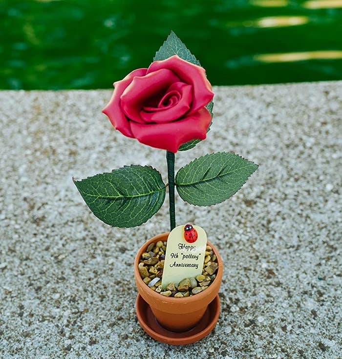Image of the 9th anniversary rose