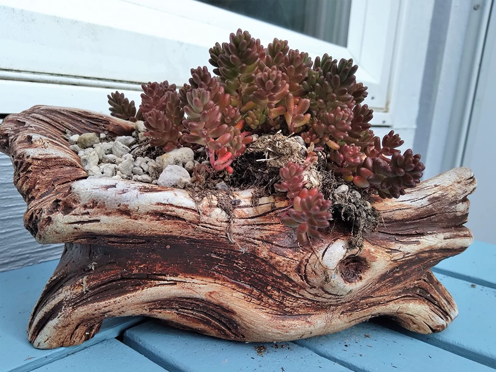 Reviewer photo of log-inspired pot filled with succulents and small stones