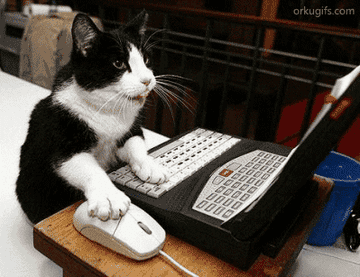 A cat sitting in front of a laptop and scrolling with a computer mouse