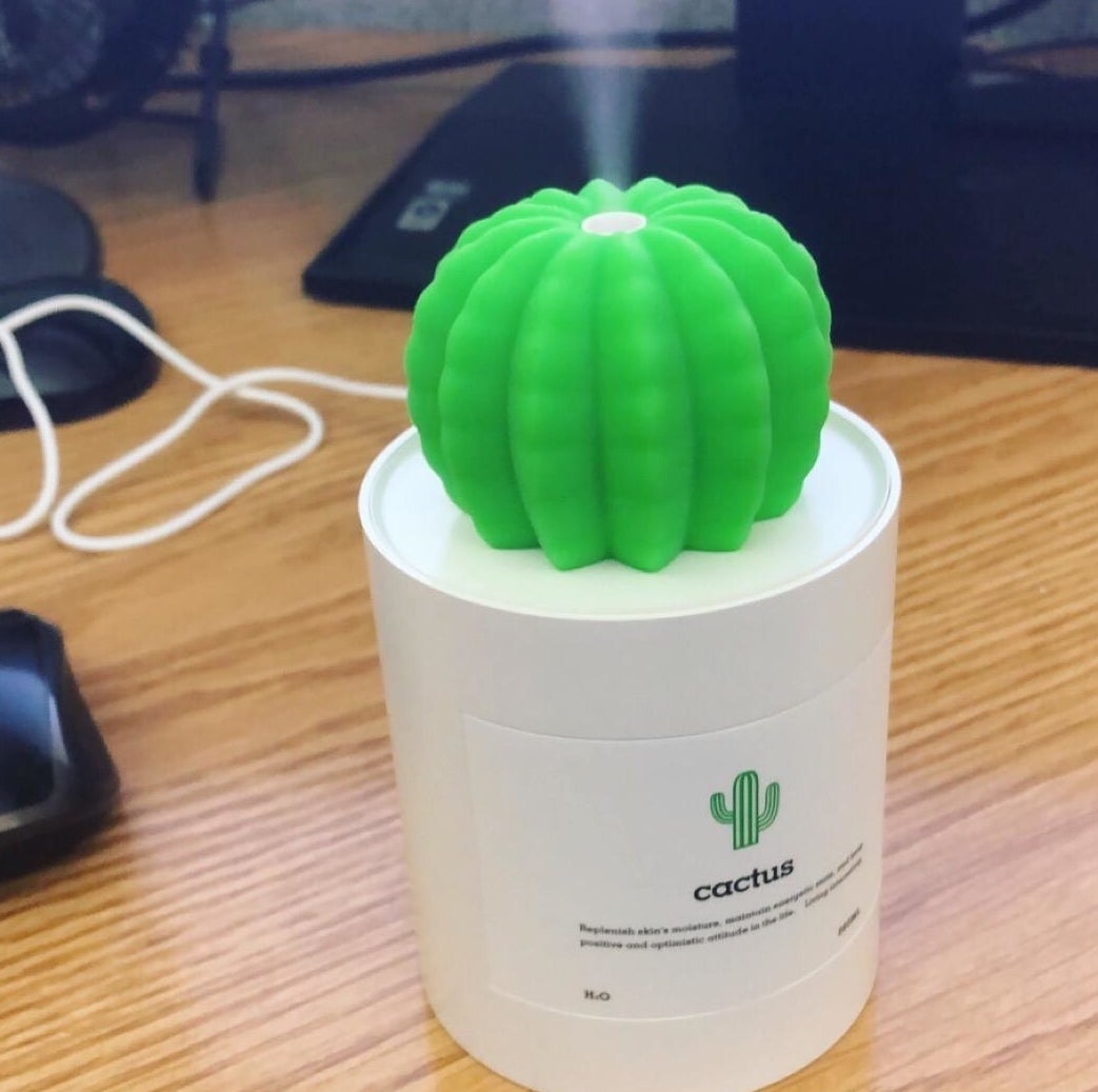 reviewer image of the mini cactus humidifier on a desk