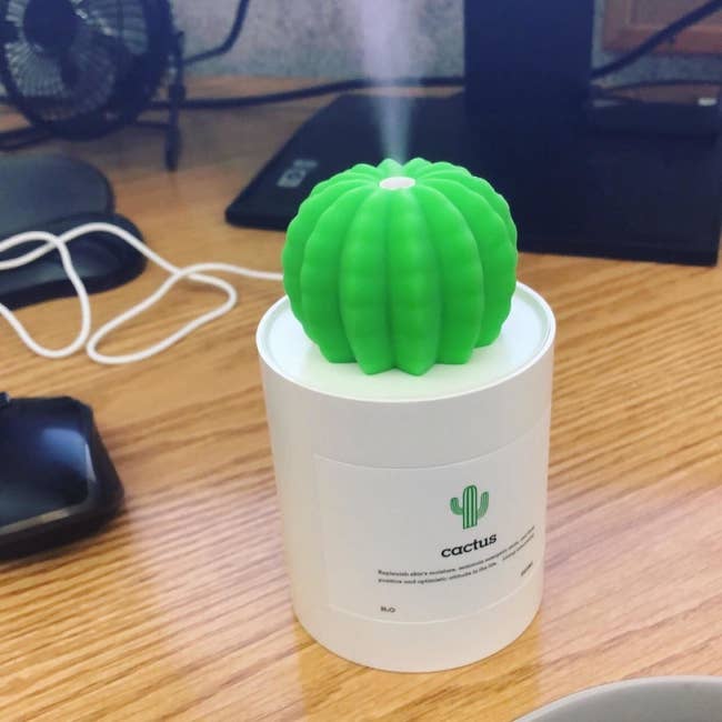 reviewer image of the mini cactus humidifier on a desk