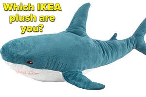"Which IKEA plush are you?" with a dolphin stuffed bear on the right