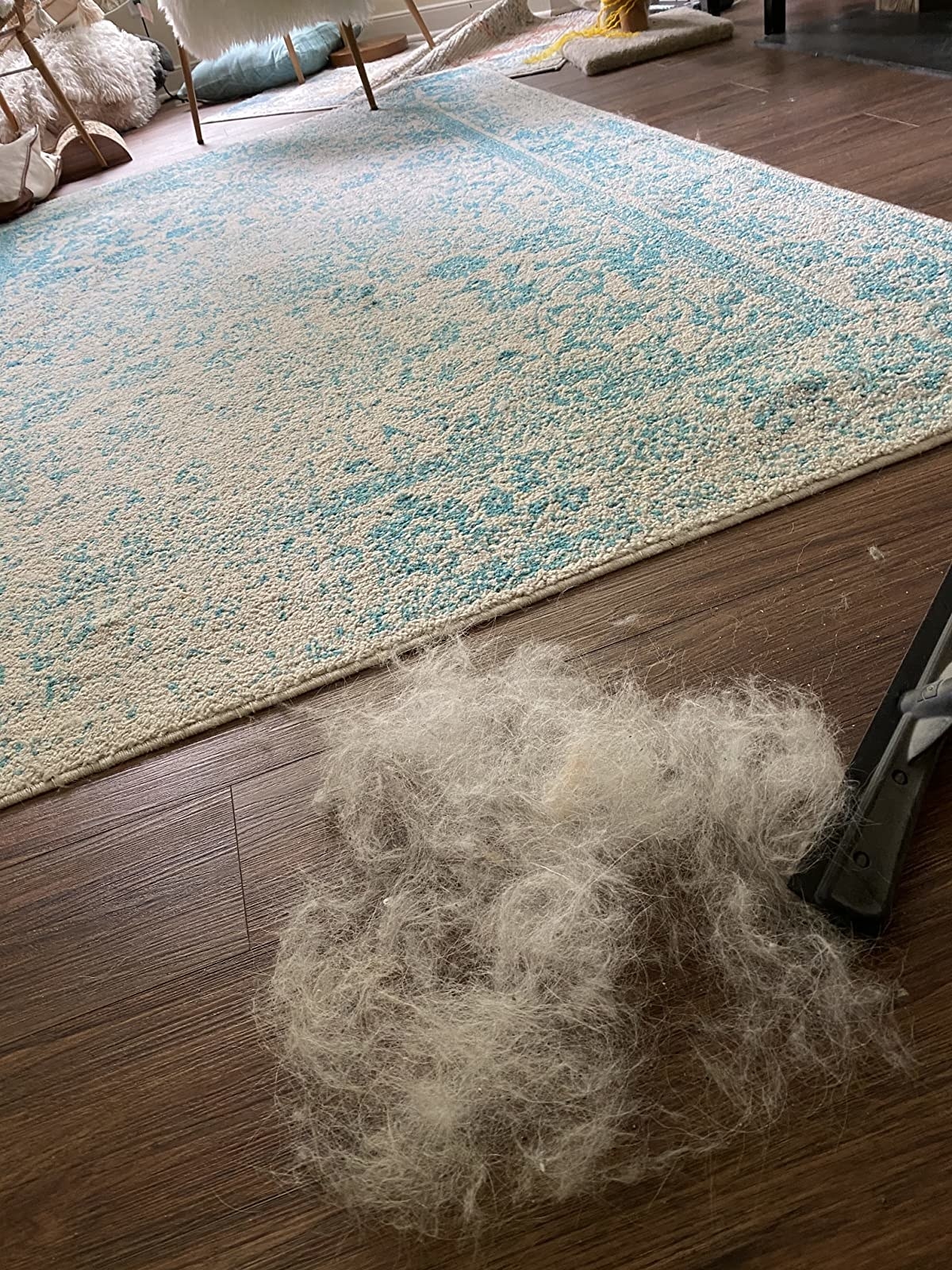 Reviewer using the squeegee brush to clean pet hair off of their carpet