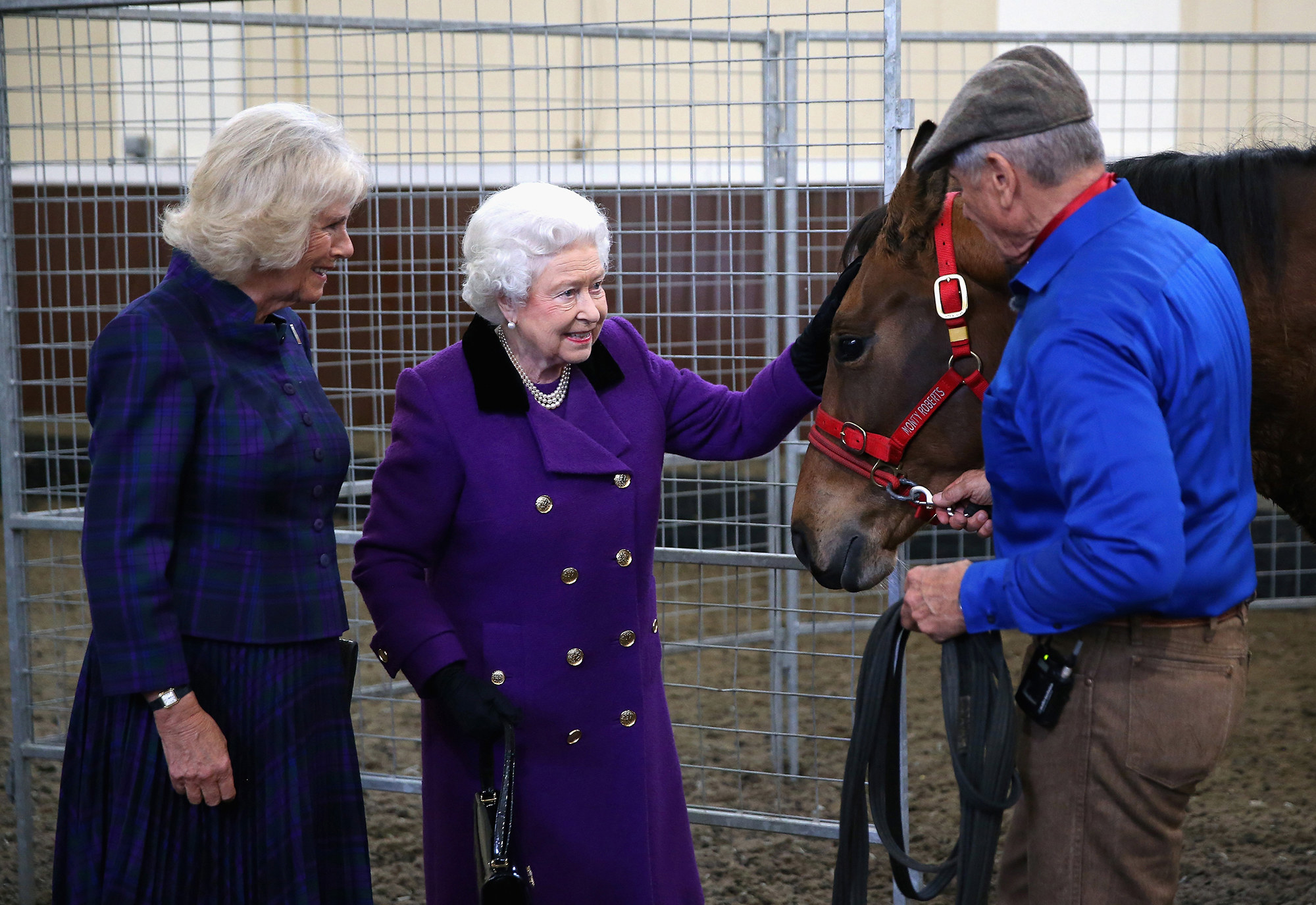 The Queen of England with Camilla pets a horse in a stable