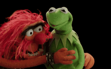 Kermit and Animal hugging