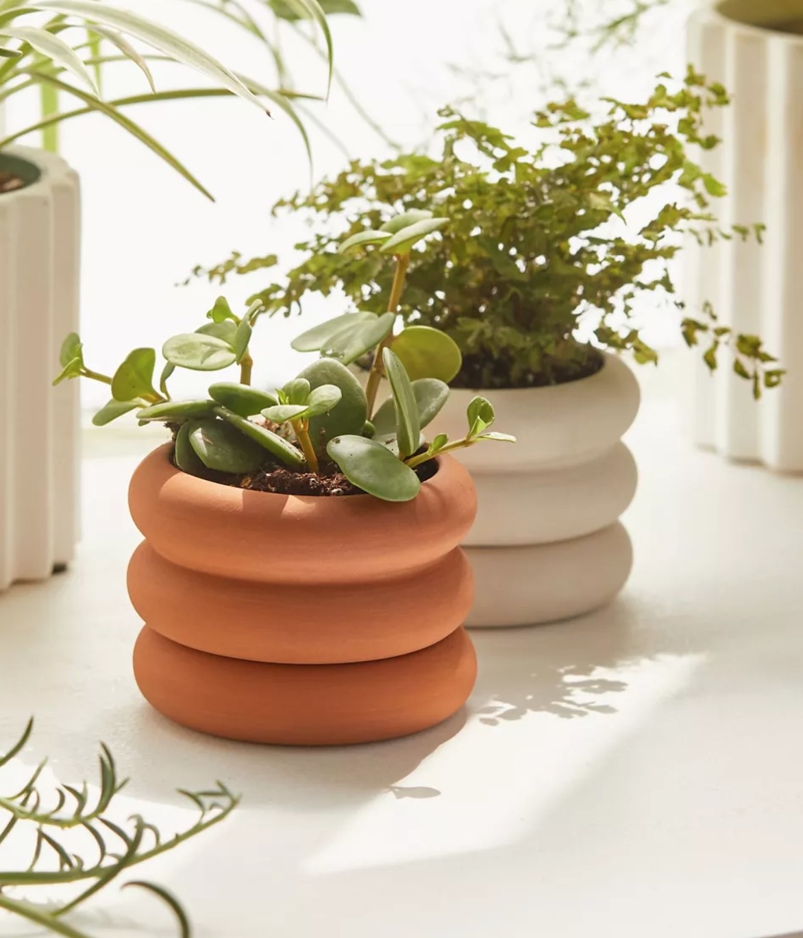 two of the stacking planters in orange and cream colors with succulents in them