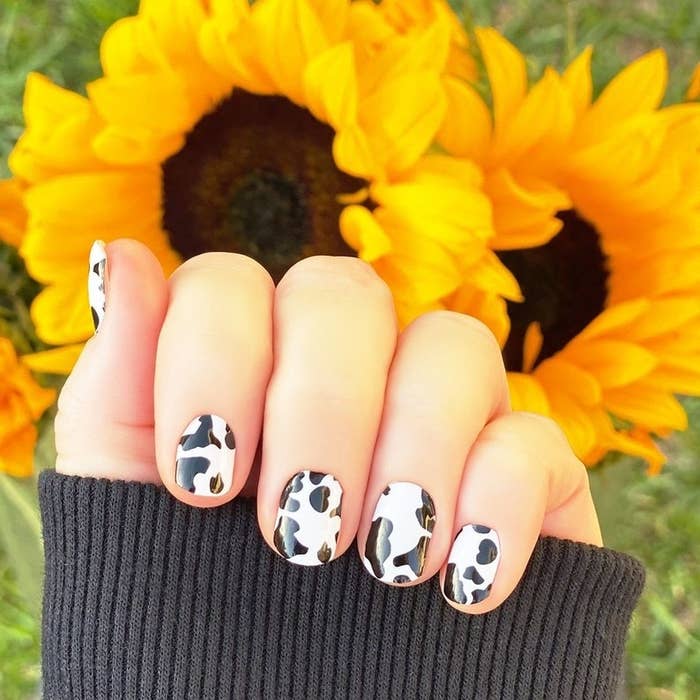 model wearing black and white cow print nail stickers
