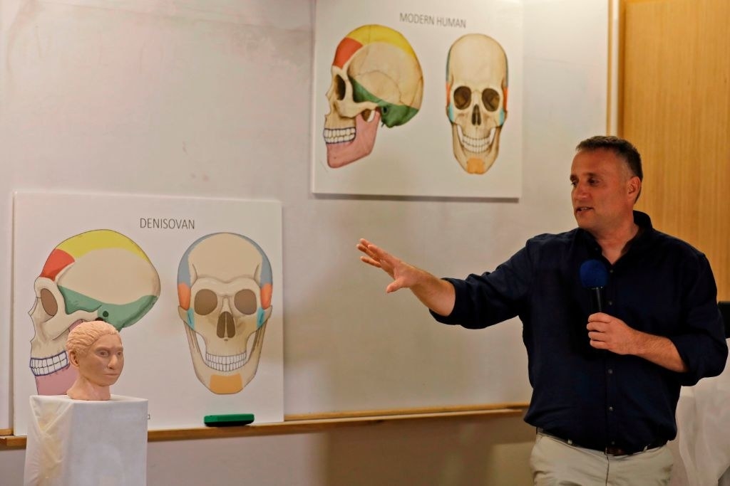 person presenting model and skulls of denisovans