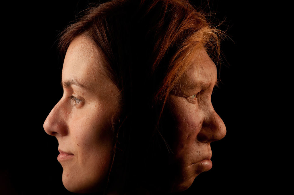 human and neanderthal