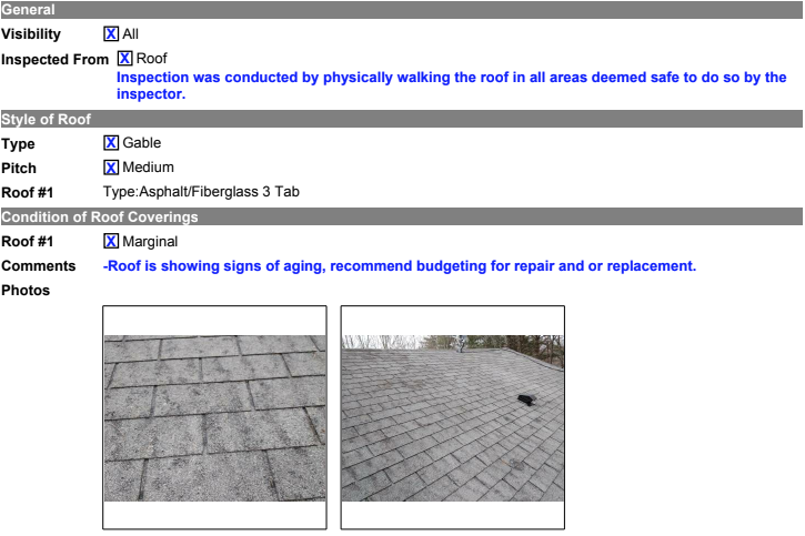 Screenshot of home inspection report given to the author