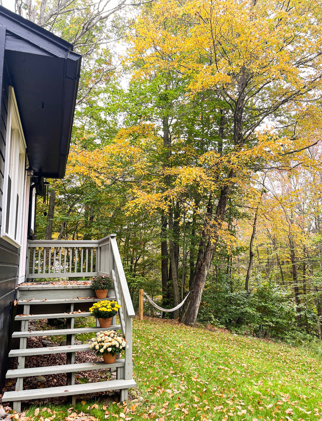 Author&#x27;s house with flowers on front porch, hammock on a tree, and front lawn with falling leaves.