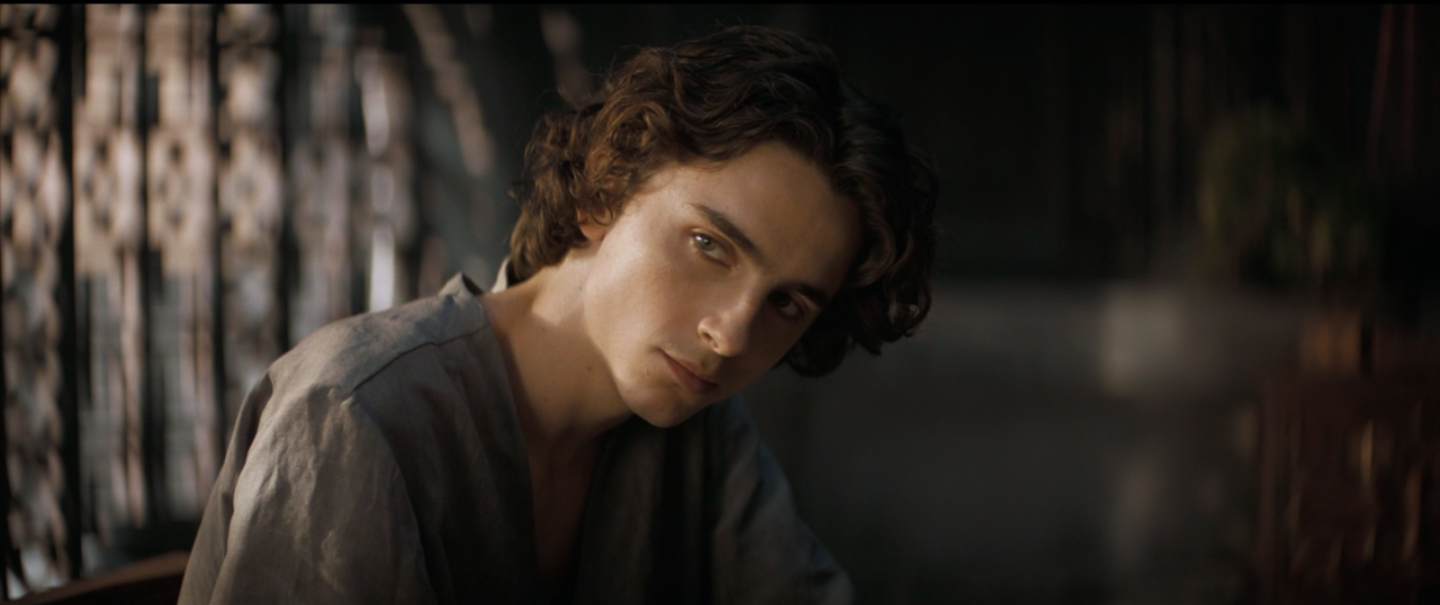 Timothée Chalamet: Dune's Leading Man - ABDO