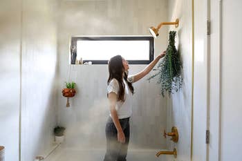 person standing in a shower and hanging up the large bundle of eucalyptus