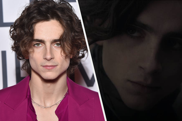 timothee chalamet
