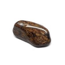 brown bronzite crystal smooth with treelike specs 