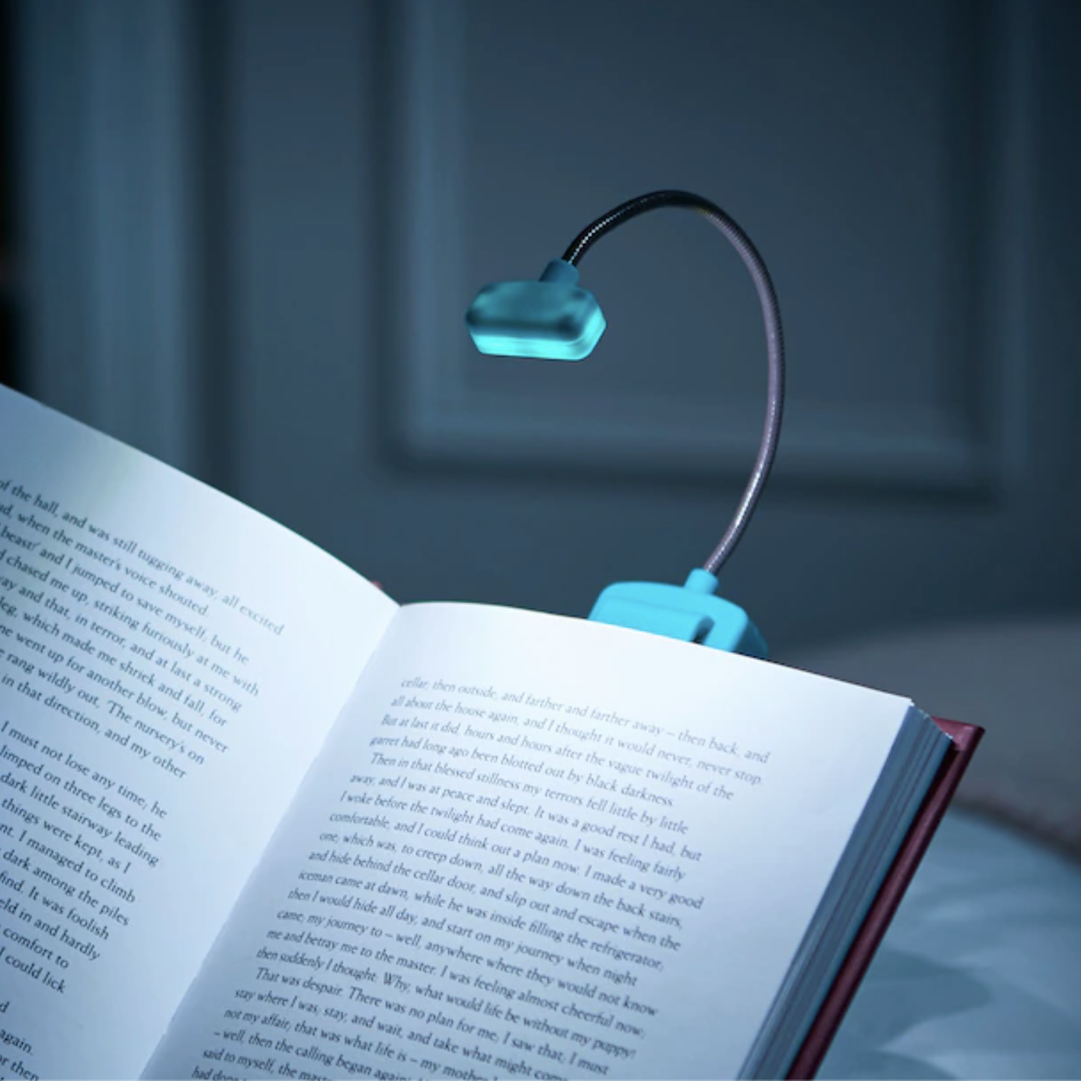 The book light clipped to a book