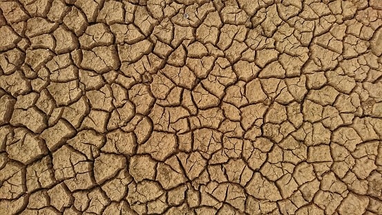 Dry, cracked ground.