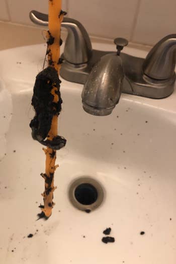 tool covered in clumps of hair from reviewer's drain