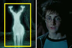 harry potter and his stag patronus