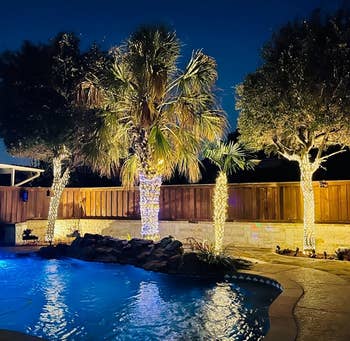 Reviewer image of four trees wrapped in white string lights next to a pool