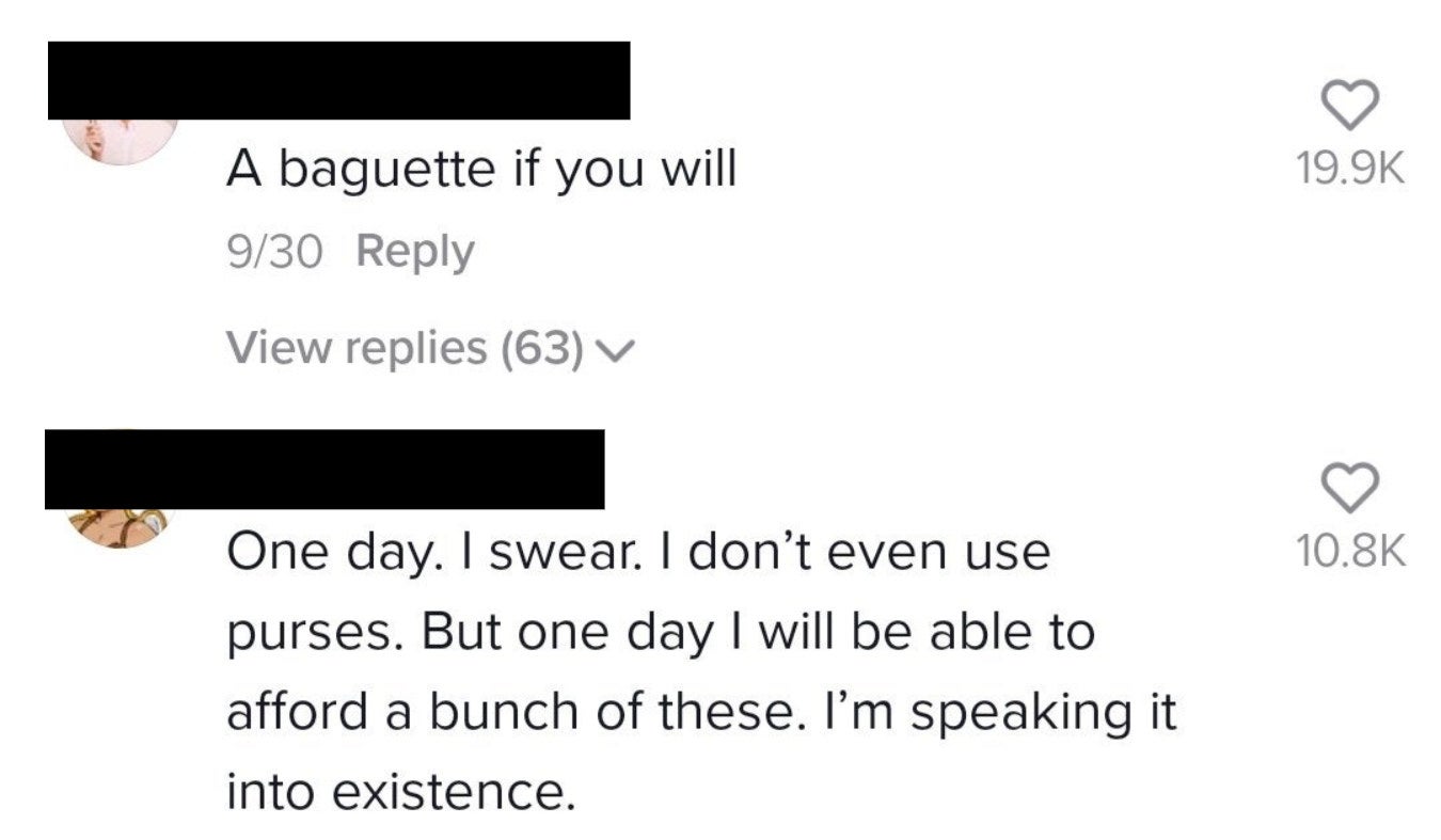 One comment says, &quot;A baguette if you will&quot; and another says, &quot;One day I swear; I don&#x27;t even use purses, but one day I will be able to afford a bunch of these; I&#x27;m speaking it into existence&quot;