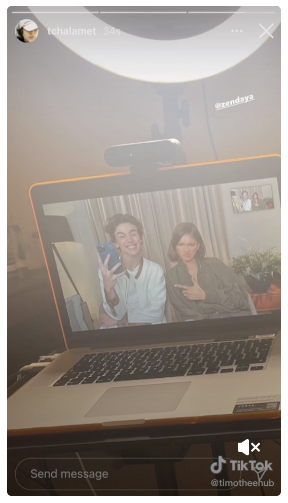 Timothee and Zendaya sitting on a Zoom call taking a selfie