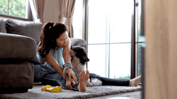 A woman, sitting in her living room, exercises with her affectionate dog.
