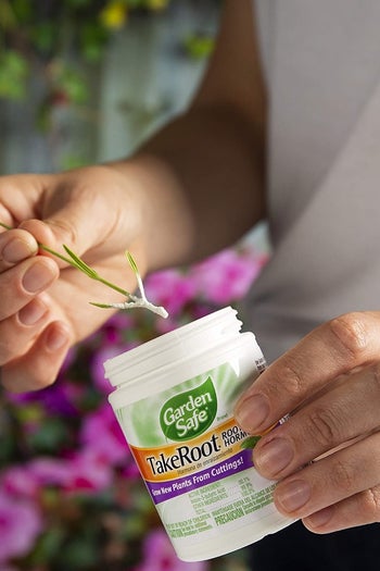 A person is dipping a plant clipping into the TakeRoot product