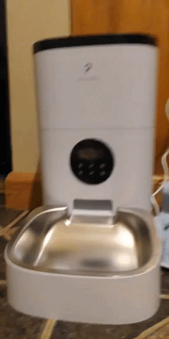 Reviewer gif of the automatic cat feeder dispensing food into a bowl