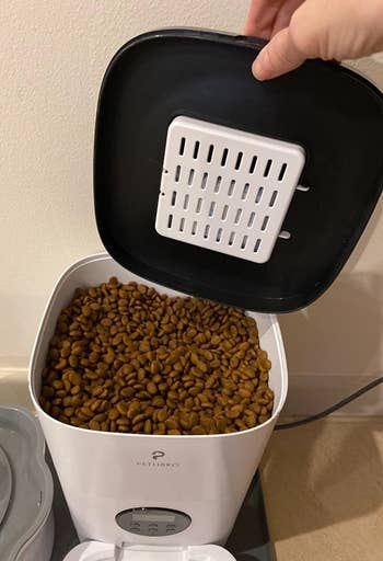 A view of the top of the automatic cat feeder, where a bunch of dry kibble is pre-loaded