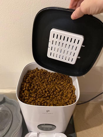 A view of the top of the automatic cat feeder, where a bunch of dry kibble is pre-loaded