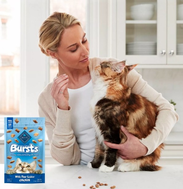 A model feeding a cat the treats