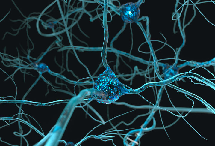 System of neurons with glowing connections