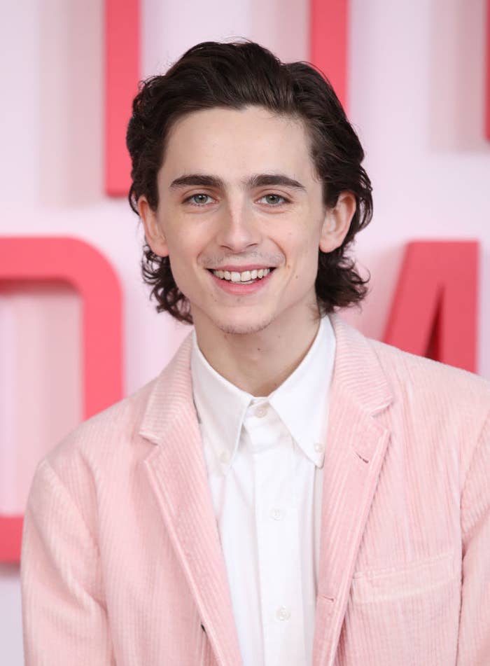Timothee Chalamet during the &quot;Little Women&quot; photocall