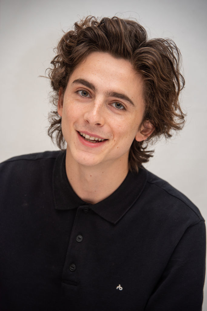 Timothee Chalamet at &quot;The King&quot; Press Conference