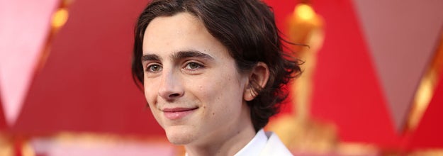 Timothee Chalamet attends the 90th Annual Academy Awards