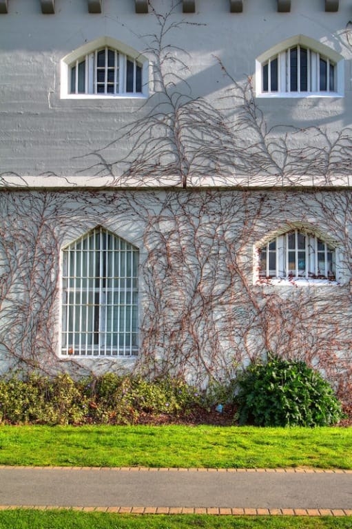 outside of hostel prison building with dead ivy climbing up the building