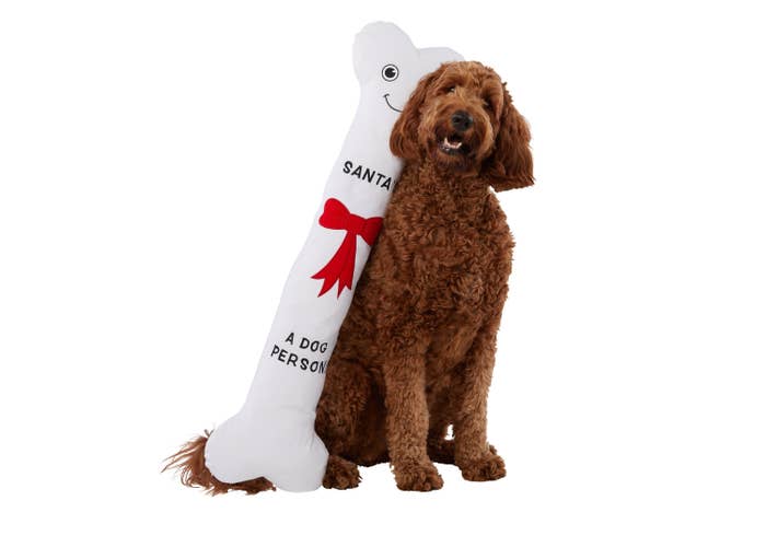 Dog sitting next to large plush bone toy