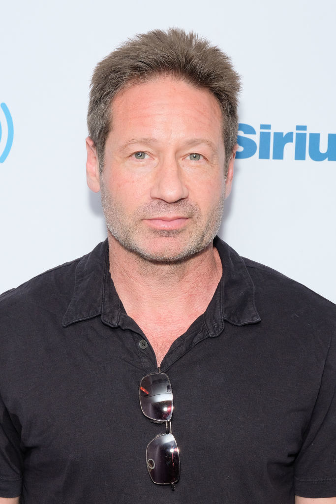 David Duchovny on a red carpet
