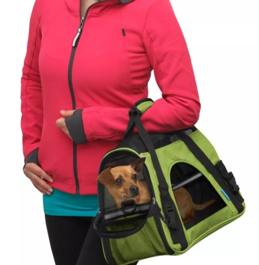 A model carrying a dog in the carrier in lettuce