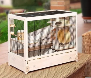 The cage on a table