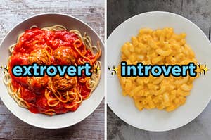 On the left, some spaghetti and meatballs labeled extrovert, and on the right, some mac and cheese labeled introvert