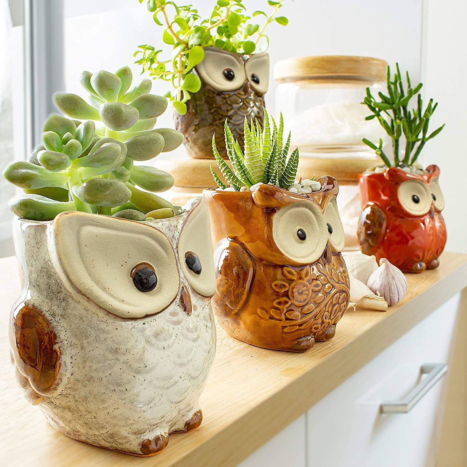 mini planters shaped like owls in different colors holding different types of succulents