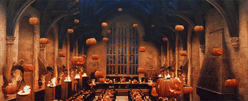 Pumpkins floating in the Great Hall for the fall feast